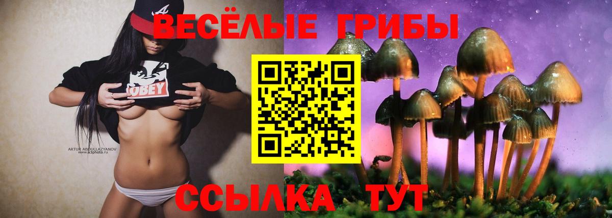 Галлюциногенные грибы прущие грибы Ипатово